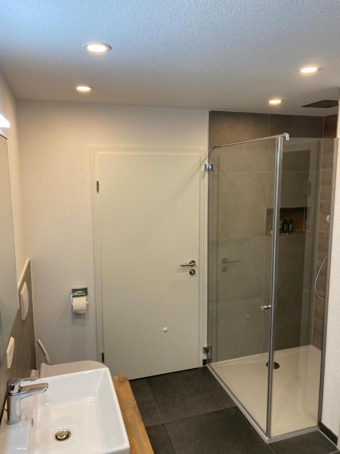 シュランベルクHaus Schiltachアパートメント エクステリア 写真
